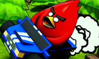 Online free browser game: Poultry ACE Downhill