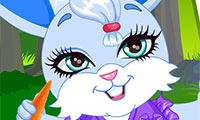 Online free browser game: Fantasy Bunny