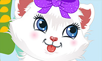Online free browser game: Cute Persian Kitty